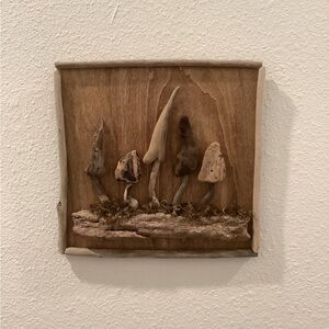 Driftwood Art , Driftwood Mushrooms, Mushroom Art, Driftwood Coastal Decor
